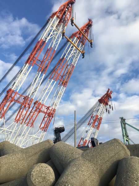 朝マズメにハマチ