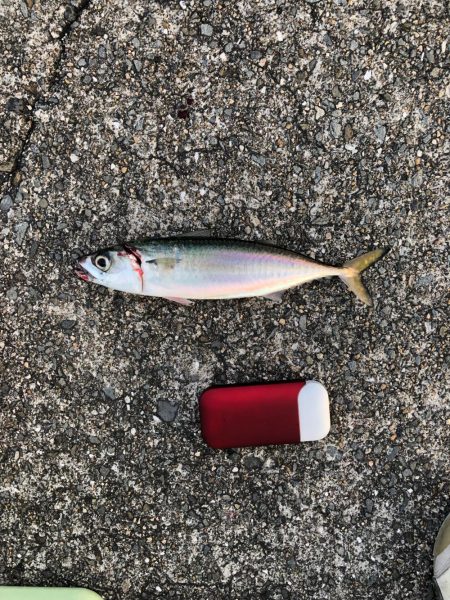 芦屋浜にて朝練