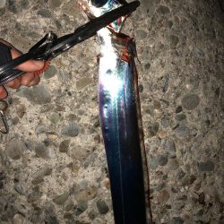 連日のタッチ〜(^^)