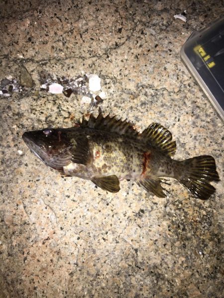 久々ライトゲーム