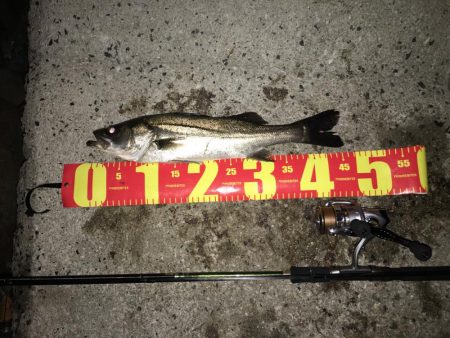 イマイチ(・・;)