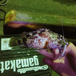 日に日に寒くなる