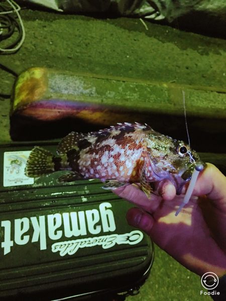 日に日に寒くなる