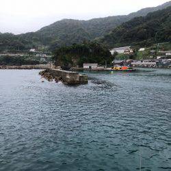 良い大きさになって来ました