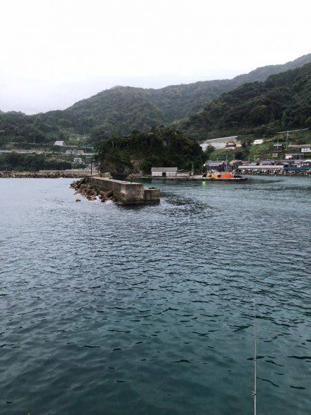 良い大きさになって来ました