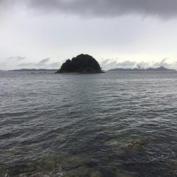 ロックフィッシュゲーム