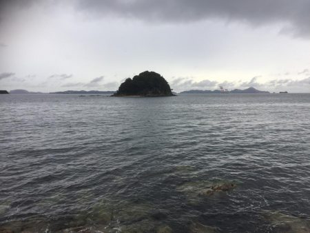 ロックフィッシュゲーム