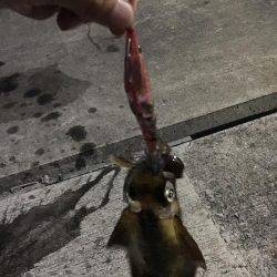 陽が沈んでから