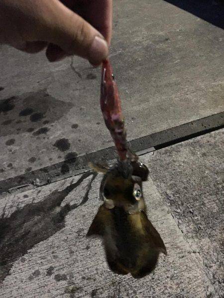 陽が沈んでから