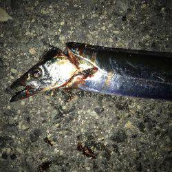 マナーを守るという事