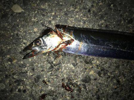 マナーを守るという事