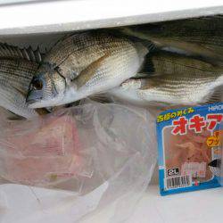 雨天後の海は…