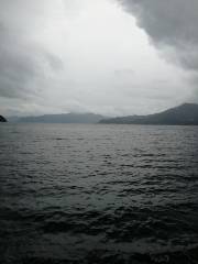 雨中のエギング