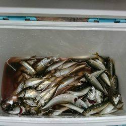 がんばりました