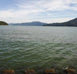 午後からエギング