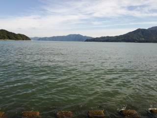 午後からエギング