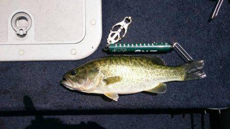 ２度目のバス釣り