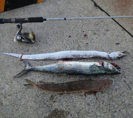 徳島に遠征へ行って来ました。