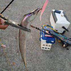 家族で南芦屋浜