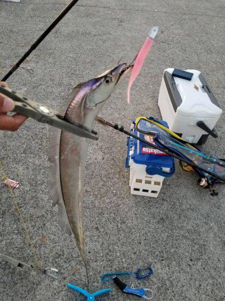 家族で南芦屋浜