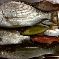 10月なのに暑い