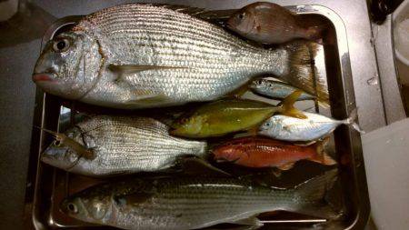 10月なのに暑い