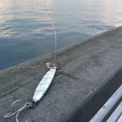 雨上がりの朝は？