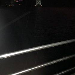 またまたまたデカイカ求めて！