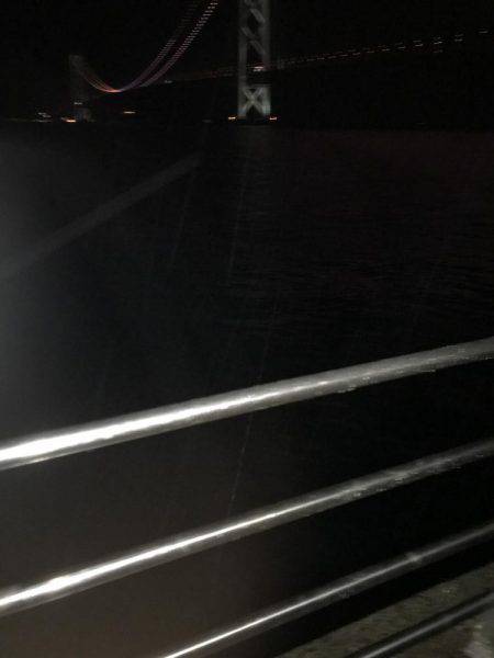 またまたまたデカイカ求めて！