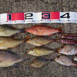 大物こそ釣れなかったけど…