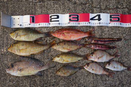 大物こそ釣れなかったけど…