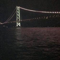 ふたたびデカイカ求めて！