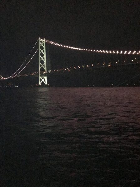 ふたたびデカイカ求めて！