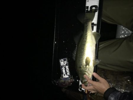 シャロー好反応