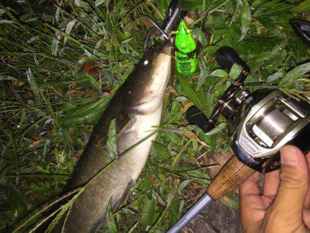 夜中の暇つぶし