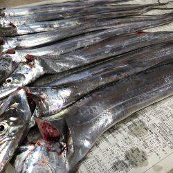 夕まずめチャレンジ(^^)