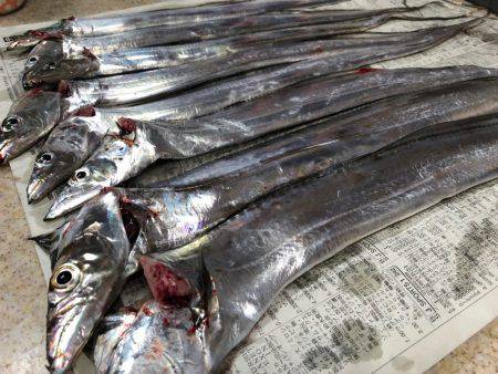 夕まずめチャレンジ(^^)