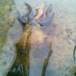 走る～　走る～♪