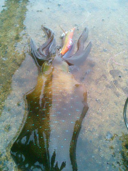 走る～　走る～♪