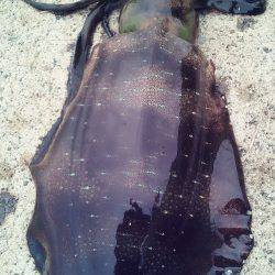 なんか～雨多いな～！