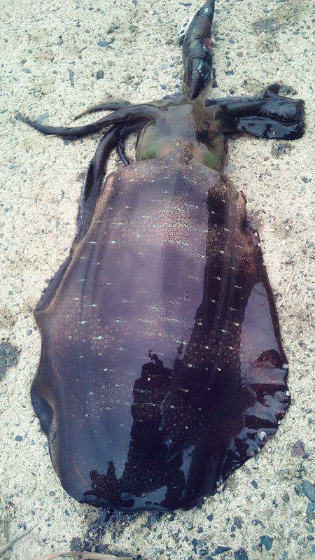 なんか～雨多いな～！