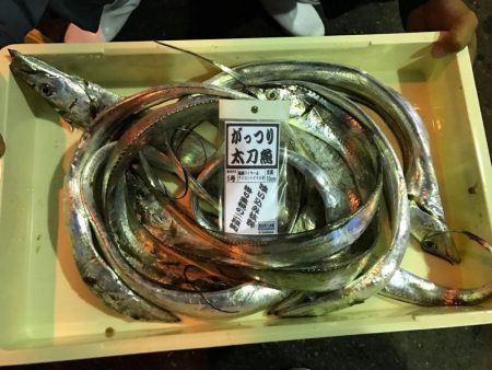 太刀魚 ウキ釣り釣果