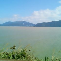 台風後なんとか？