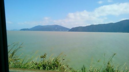 台風後なんとか？