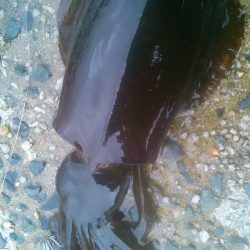 最後の最後でやっと･・！