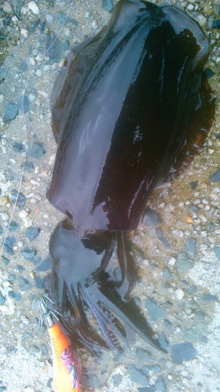 最後の最後でやっと･・！