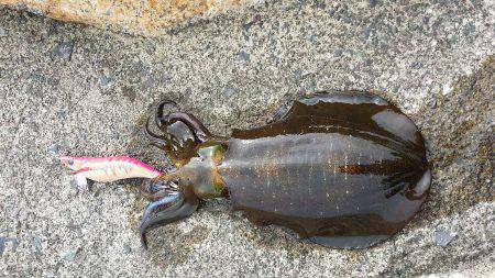 まだ海の状況良くなかった(-_-;)