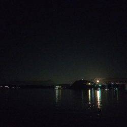 ワインド太刀魚