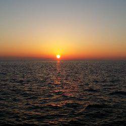 太刀魚は好調のはず