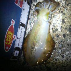 どこにお出かけですか?